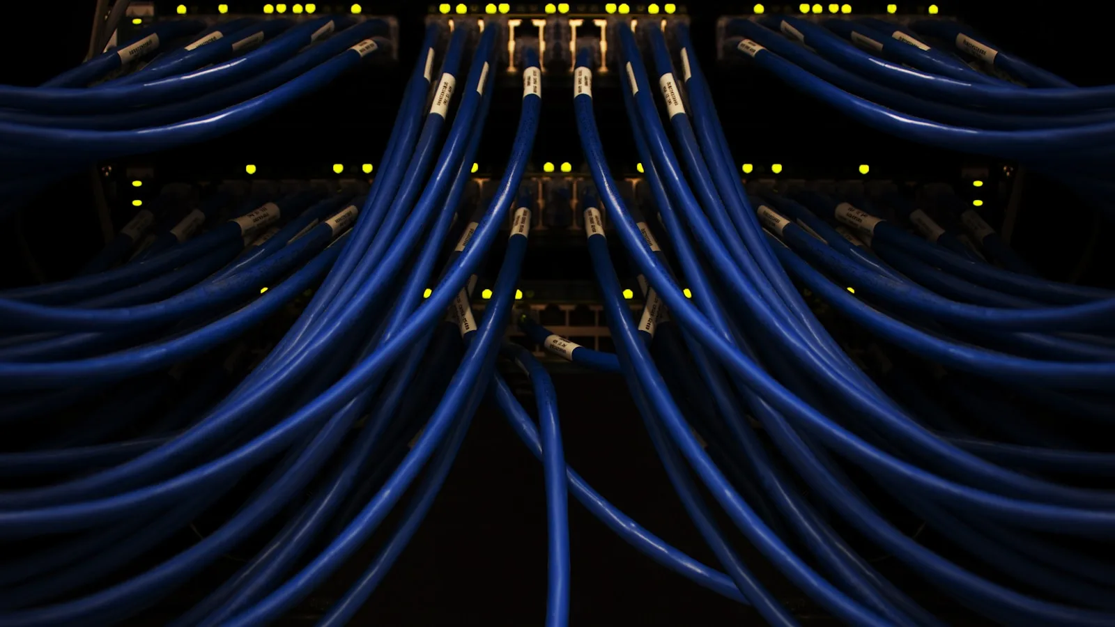 Câbles réseau regroupés illustrant la stabilité d'un service IPTV
